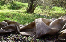 Greece Athens Taxi GAT3