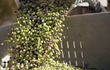 Greece Athens Taxi GAT20