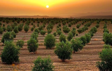 Greece Athens Taxi GAT22