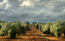 Greece Athens Taxi GAT23