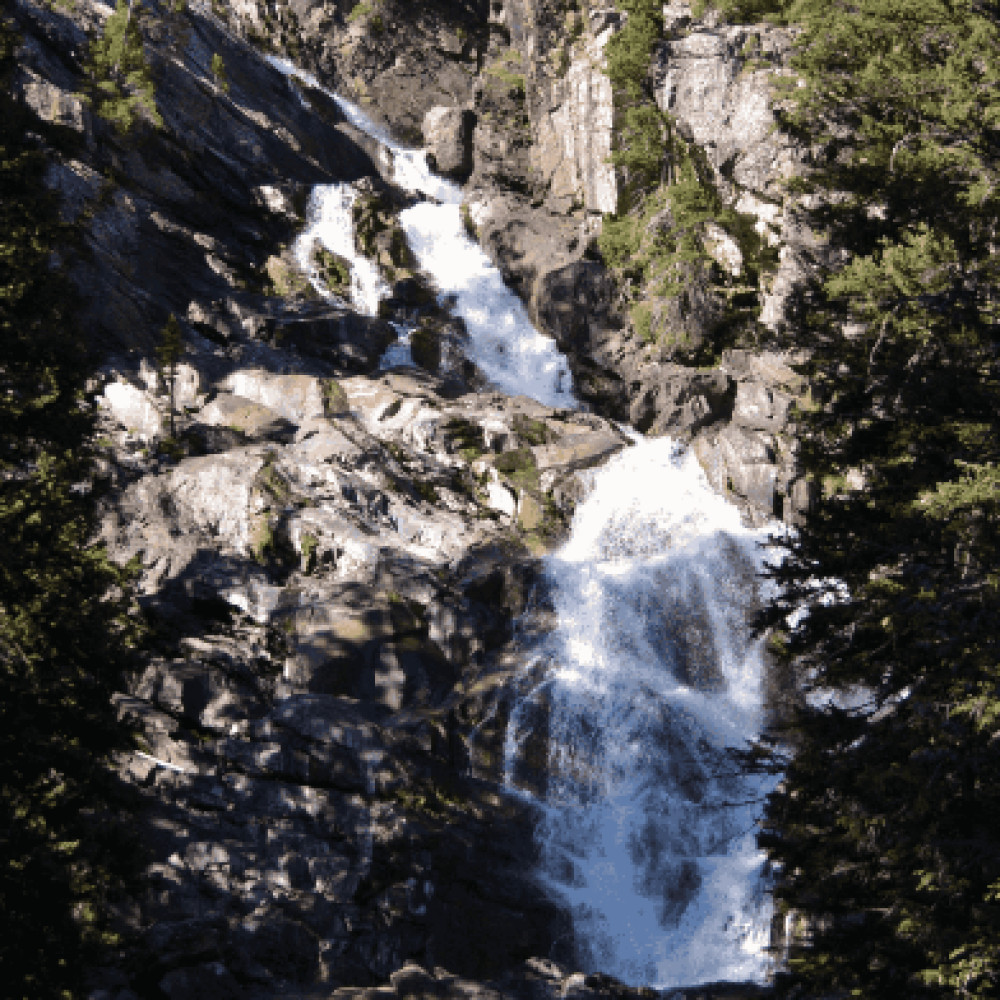 2 Day Private Yellowstone Tour with Lower & Upper Loop