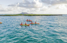 Gori Laura Giuseppina6