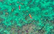 Gori Laura Giuseppina10