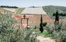 Avalon Travel Services3