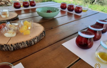 Avalon Travel Services4