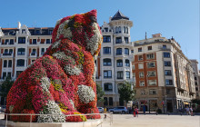 Local Experts Tours4