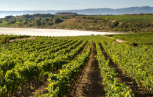 Local Experts Tours2