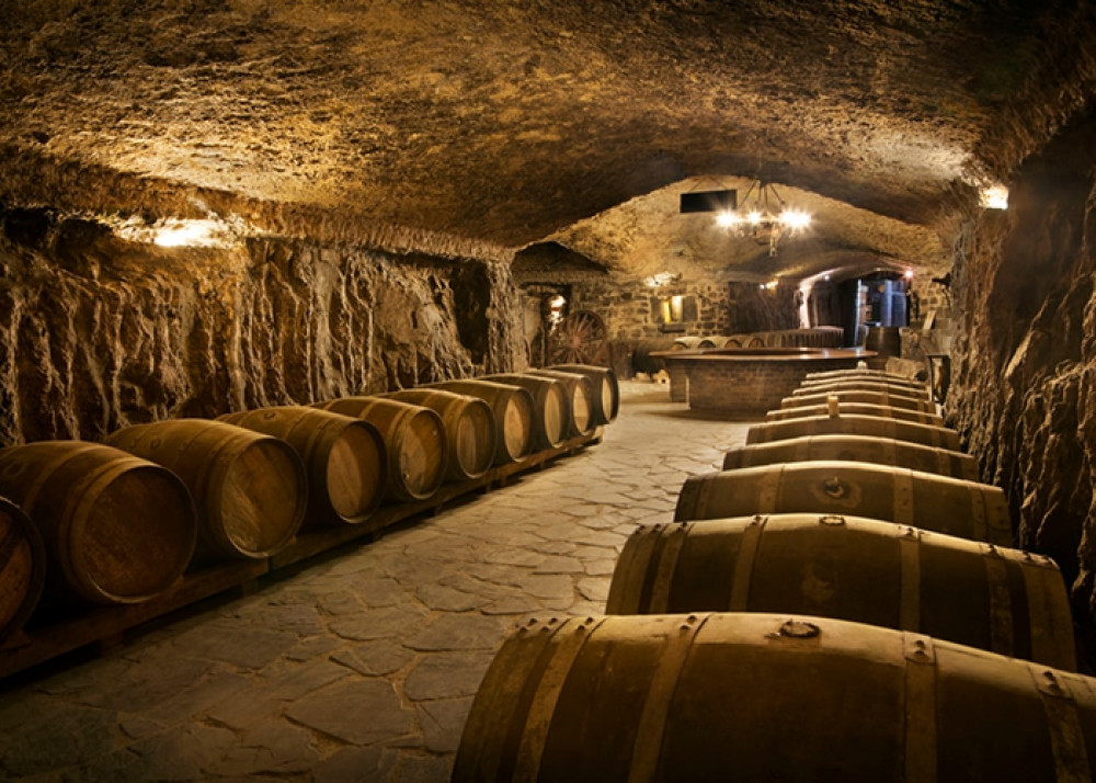 Private Rioja Wine Tour: Winery and Traditional Lunch from San Sebastian
