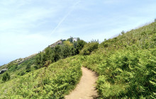 Local Experts Tours3