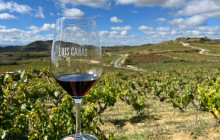 Local Experts Tours3