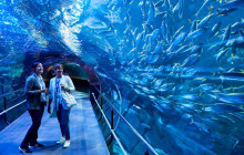 Local Experts Tours4