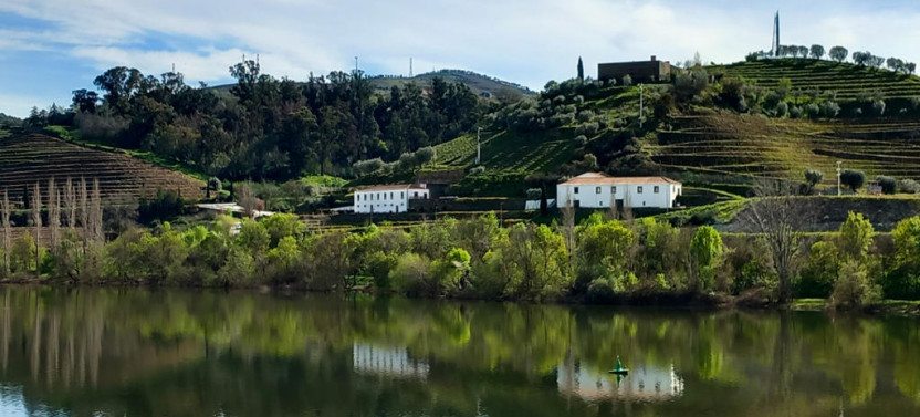 Douro Valley Private Day Tour – UNESCO World Heritage Site