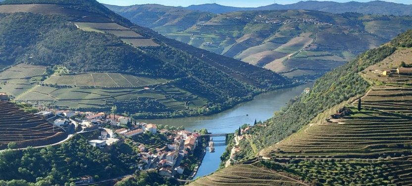 Douro Valley Private Day Tour – UNESCO World Heritage Site