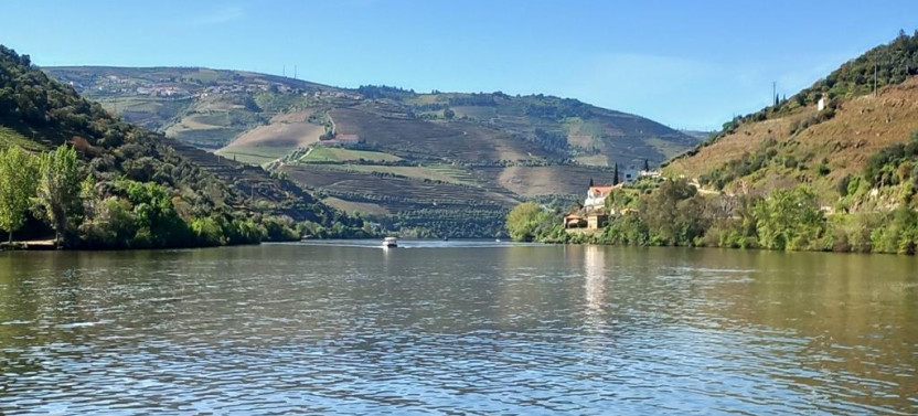 Douro Valley Private Day Tour – UNESCO World Heritage Site