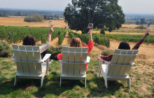 A Great Oregon Wine Tour6