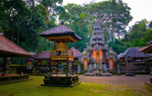 Discova Day Tours and Activities12