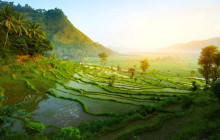 Discova Day Tours and Activities14