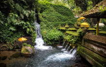 Discova Day Tours and Activities18