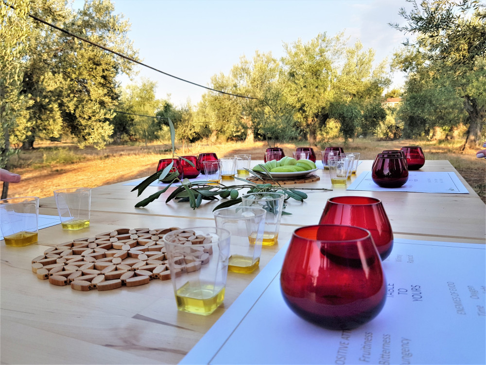 From Nafplion: Ancient Argos & Olive Tasting Experience