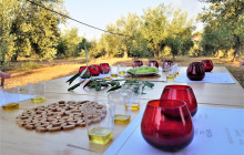 Avalon Travel Services1