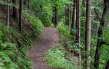 Local Experts Tours4