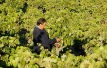 Local Experts Tours6