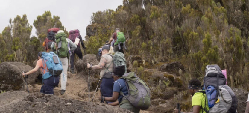 6 days Kilimanjaro Climb – Marangu Route