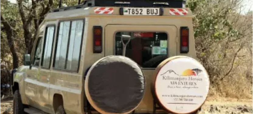 4 Days Safari To Lake Manyara, Ngorongoro & Serengeti