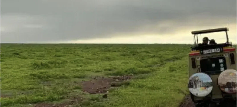 4 Days Safari To Lake Manyara, Ngorongoro & Serengeti