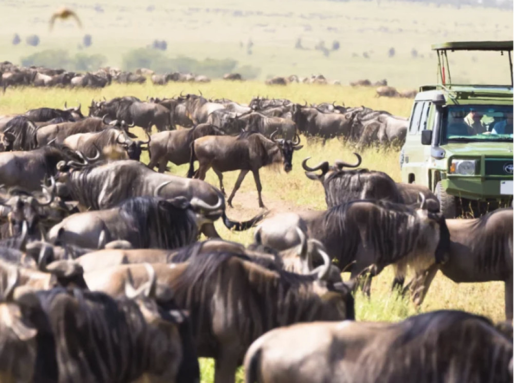 Kilimanjaro Heroes Adventures