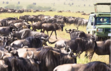 Kilimanjaro Heroes Adventures7