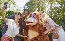 Paris City Vision1061