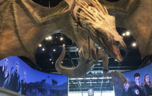 Gray Line Niagara Falls USA5