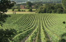 Gray Line Niagara Falls USA2