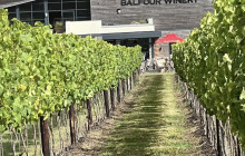 Gray Line Niagara Falls USA4