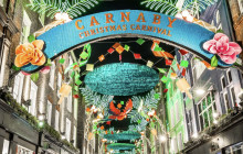 TOS travel and tours1