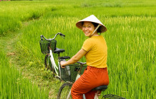 Discova Day Tours and Activities1