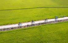 Discova Day Tours and Activities4