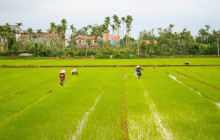 Discova Day Tours and Activities5