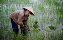 Discova Day Tours and Activities13