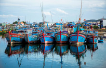 Discova Day Tours and Activities17