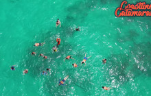 Coastline Catamarans31