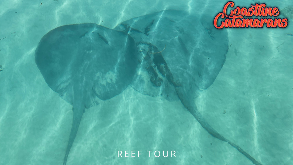 Coastline Catamarans