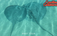 Coastline Catamarans20