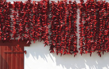 Local Experts Tours2