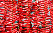 Local Experts Tours1