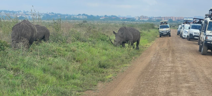 Nairobi: National Park, Elephant Orphanage & Giraffe Center