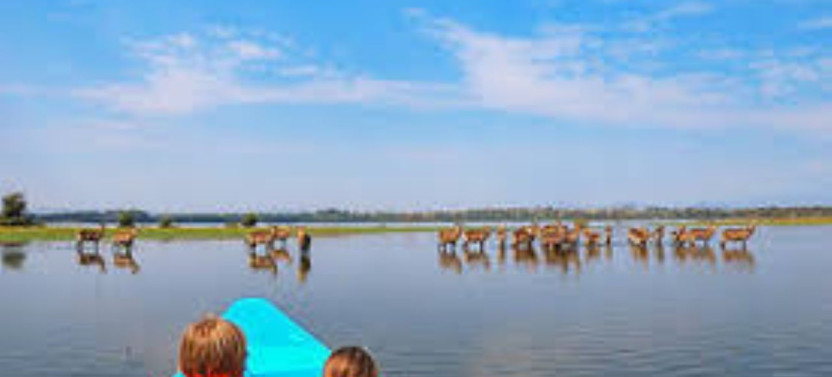 Lake Nakuru Day Trip Tour