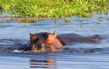 KT SAFARIS LIMITED10