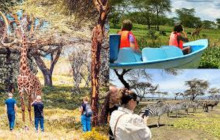 KT SAFARIS LIMITED15